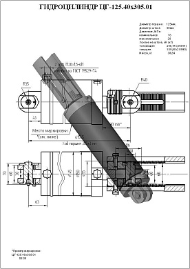 Гидроцилиндр ЦГ-125.40х305.01