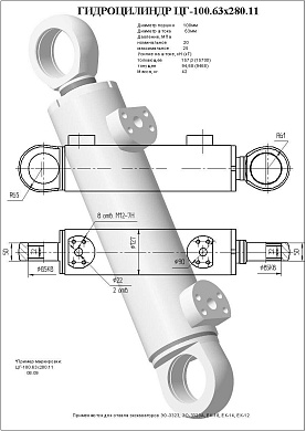 Гидроцилиндр ЦГ-100.63х280.11