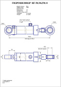 Гидроцилиндр ЦГ-50.30х250.11