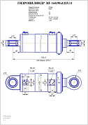 Гидроцилиндр ЦГ-160.90х1225.11