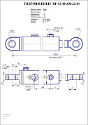 Гидроцилиндр ЦГ-63.40х630.22-01