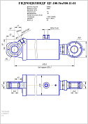 Гидроцилиндр ЦГ-100.56х500.11-01